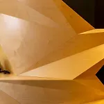 Vi